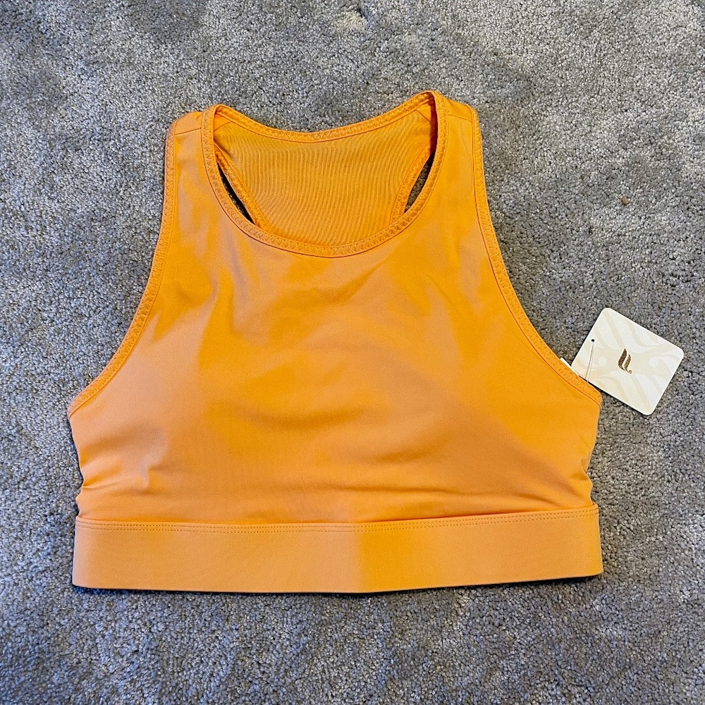 Fabletics Medium Sport Bra